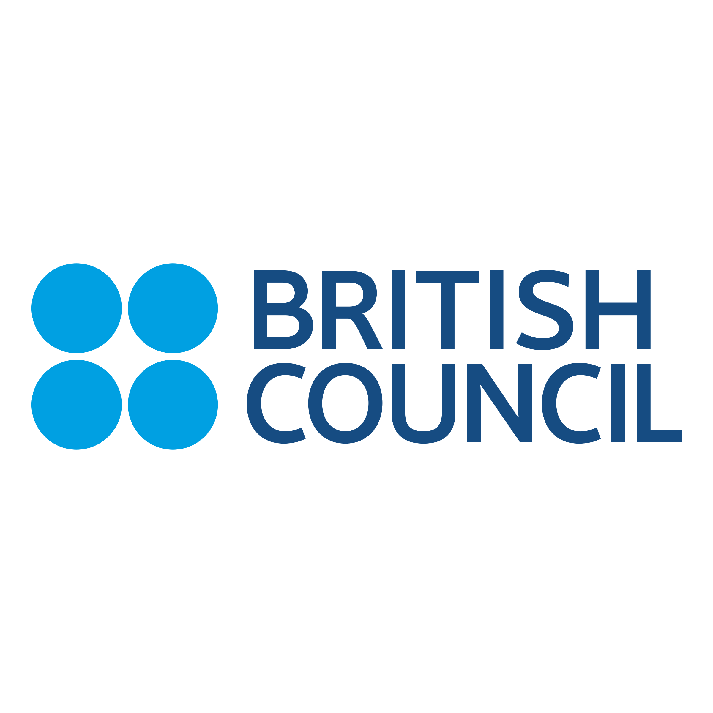 british council business plan